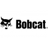 Bobcat