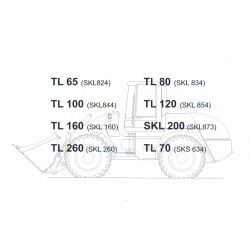 Terex TL65 TL70 TL80 TL100 TL120 TL160 TL260 SKL200 - instrukcje napraw + schematy + DTR